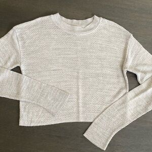 Abound pointelle knit cropped sweater
